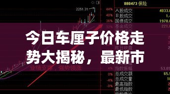 今日车厘子价格走势大揭秘，最新市场分析全面解析