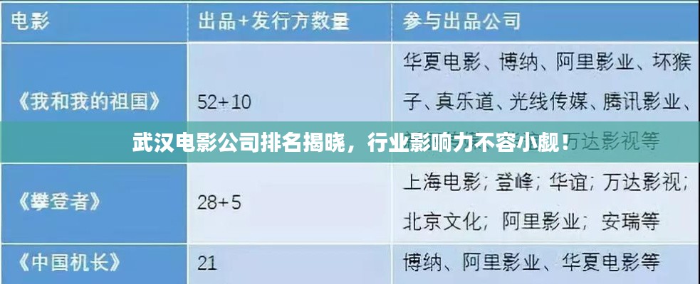 武汉电影公司排名揭晓，行业影响力不容小觑！