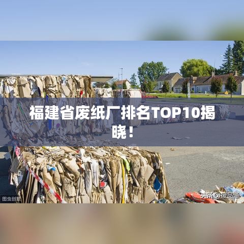 福建省废纸厂排名TOP10揭晓！