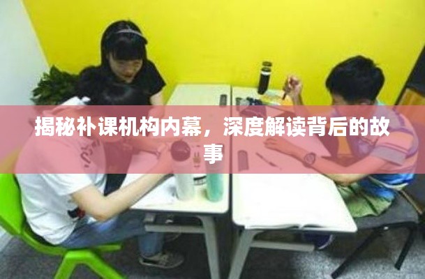 揭秘补课机构内幕，深度解读背后的故事