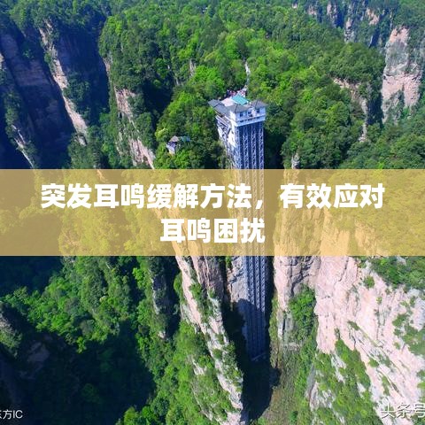 突发耳鸣缓解方法，有效应对耳鸣困扰