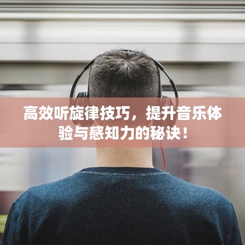 高效听旋律技巧，提升音乐体验与感知力的秘诀！