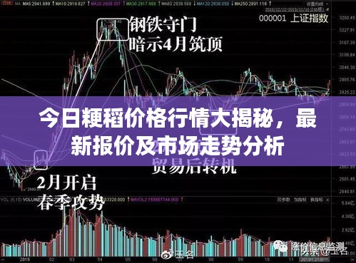今日粳稻价格行情大揭秘，最新报价及市场走势分析