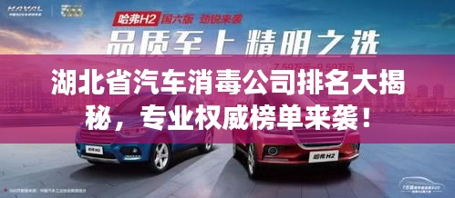 湖北省汽车消毒公司排名大揭秘，专业权威榜单来袭！
