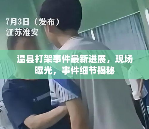 温县打架事件最新进展，现场曝光，事件细节揭秘