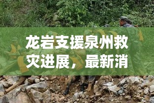 龙岩支援泉州救灾进展，最新消息速递