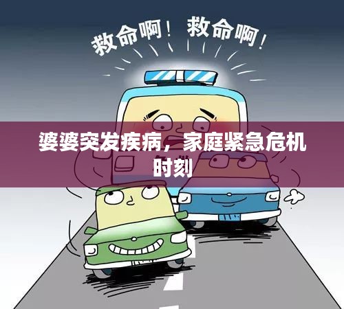 婆婆突发疾病，家庭紧急危机时刻