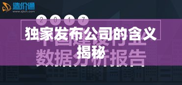 独家发布公司的含义揭秘