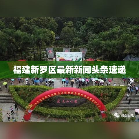 福建新罗区最新新闻头条速递