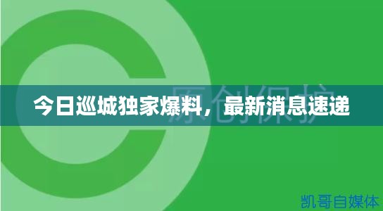 今日巡城独家爆料，最新消息速递