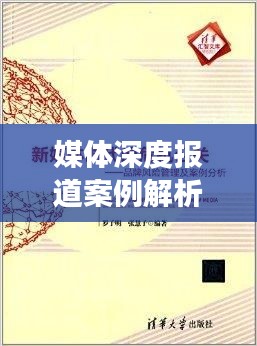 媒体深度报道案例解析，洞悉新闻背后的故事
