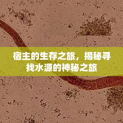 宿主的生存之旅，揭秘寻找水源的神秘之旅