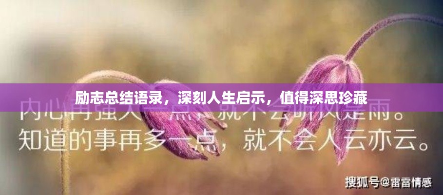 励志总结语录，深刻人生启示，值得深思珍藏
