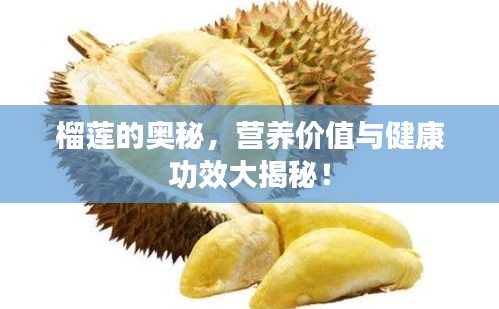 学贯中西