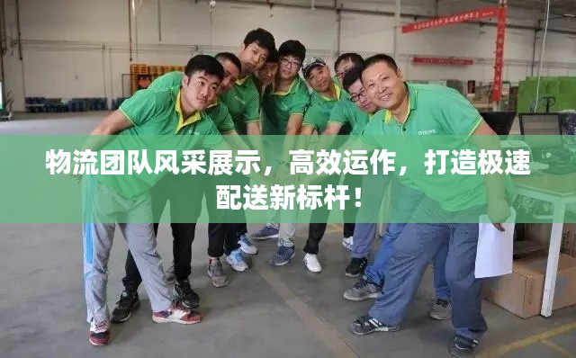物流团队风采展示，高效运作，打造极速配送新标杆！