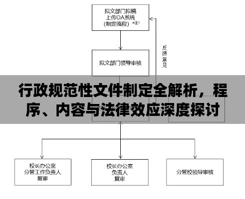 行政规范性文件制定全解析，程序、内容与法律效应深度探讨