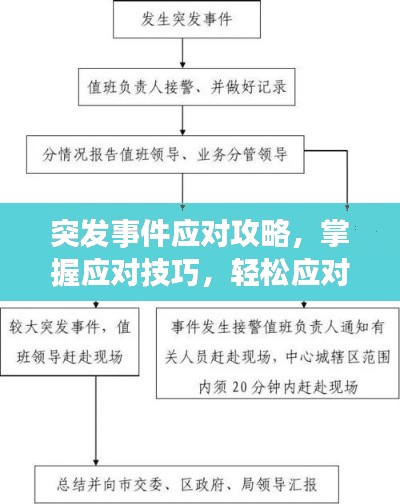 突发事件应对攻略，掌握应对技巧，轻松应对突发状况