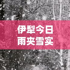 伊犁今日雨夹雪实时更新，最新天气消息来袭！
