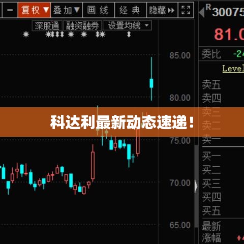 科达利最新动态速递！