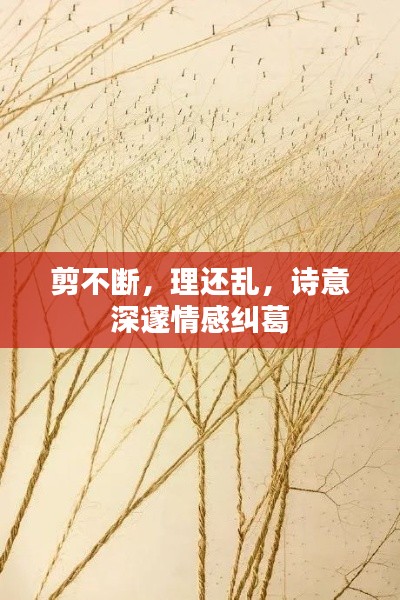 剪不断，理还乱，诗意深邃情感纠葛