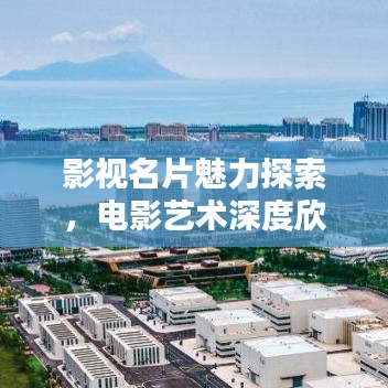 影视名片魅力探索，电影艺术深度欣赏专题
