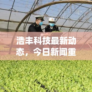 浩丰科技最新动态，今日新闻重磅更新