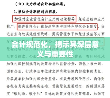 会计规范化，揭示其深层意义与重要性
