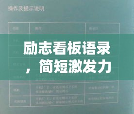 开张圣听