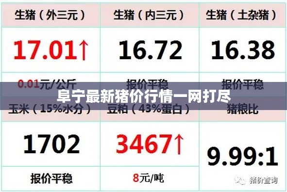 阜宁最新猪价行情一网打尽
