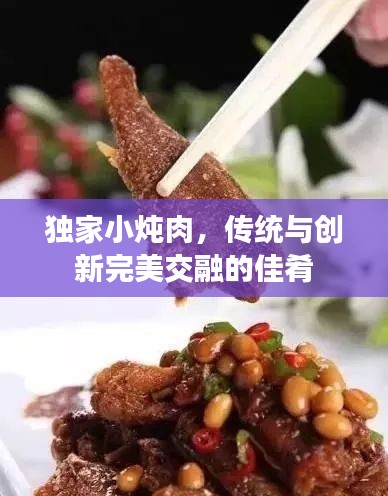 独家小炖肉，传统与创新完美交融的佳肴