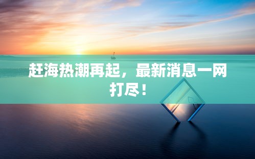 赶海热潮再起，最新消息一网打尽！