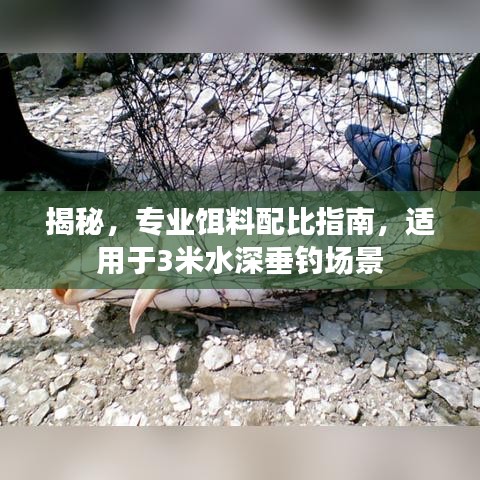 鸟云之阵
