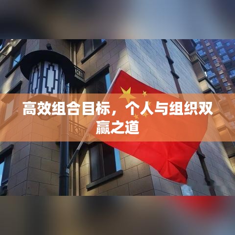 高效组合目标，个人与组织双赢之道
