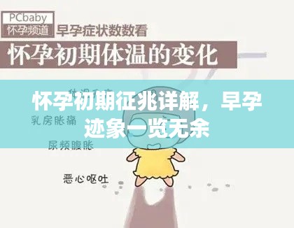 怀孕初期征兆详解，早孕迹象一览无余