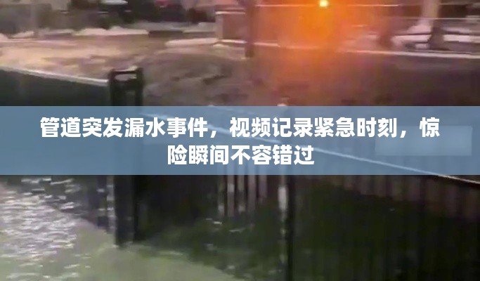 手舞足蹈