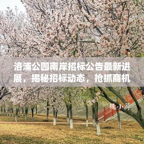 洛浦公园南岸招标公告最新进展，揭秘招标动态，抢抓商机！