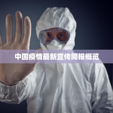 中国疫情最新宣传简报概览