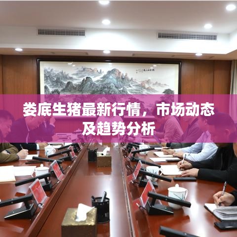 娄底生猪最新行情，市场动态及趋势分析