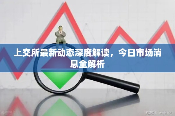 上交所最新动态深度解读，今日市场消息全解析