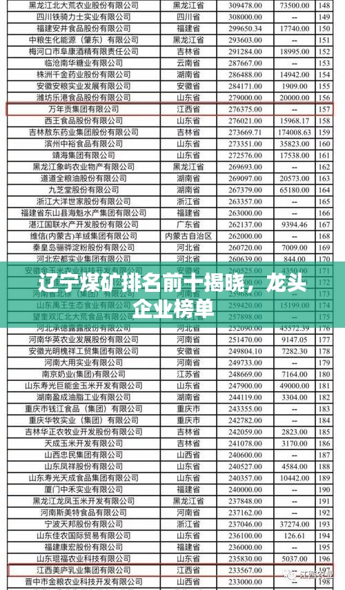 辽宁煤矿排名前十揭晓，龙头企业榜单