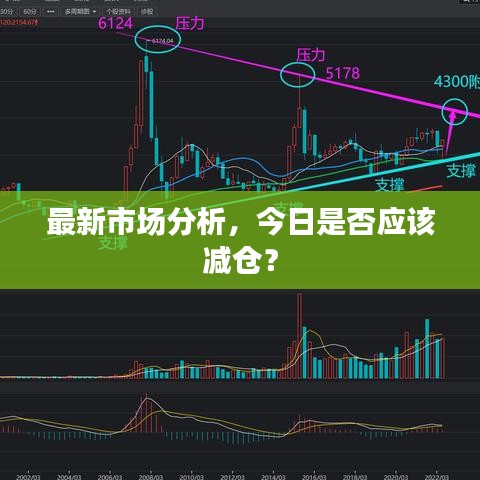最新市场分析，今日是否应该减仓？