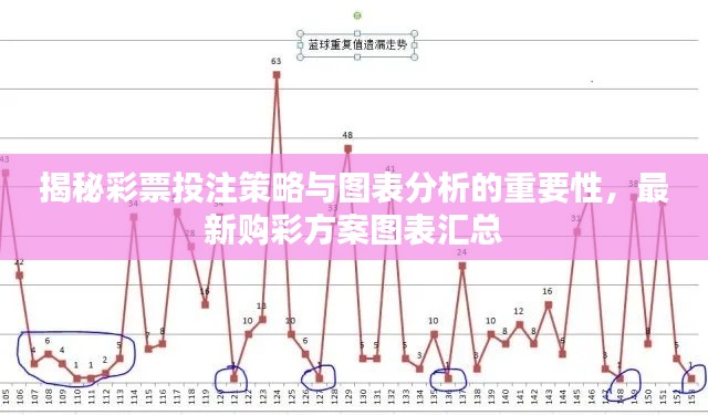 揭秘彩票投注策略与图表分析的重要性，最新购彩方案图表汇总