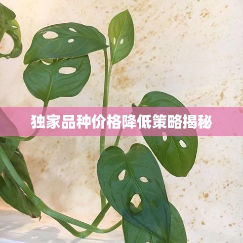 独家品种价格降低策略揭秘
