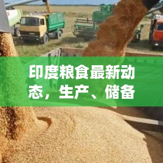 印度粮食最新动态，生产、储备与安全头条新闻
