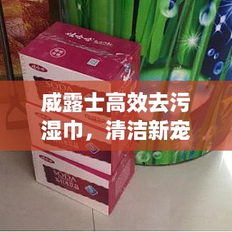 威露士高效去污湿巾，清洁新宠，守护你的健康生活