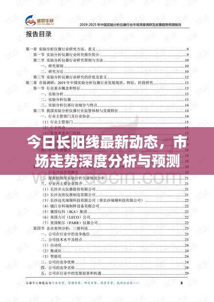 今日长阳线最新动态，市场走势深度分析与预测