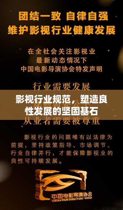 影视行业规范，塑造良性发展的坚固基石