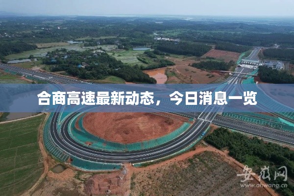 合商高速最新动态，今日消息一览
