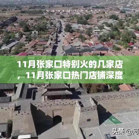 11月张家口热门店铺深度测评与独家推荐