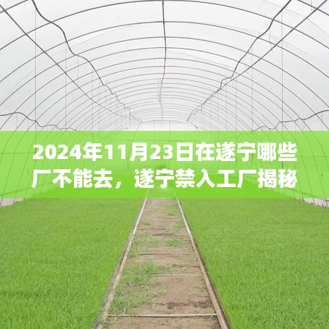 遂宁禁入工厂揭秘与高科技产品革新体验传奇在2024年11月23日